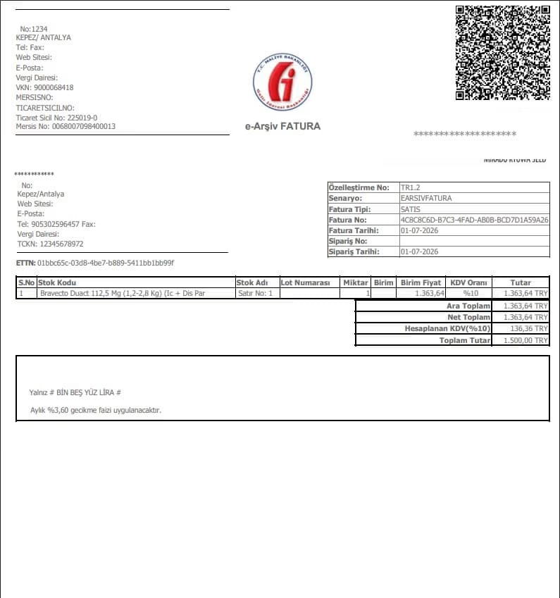 e-Fatura ve e-Arşiv — ekran görüntüsü 4